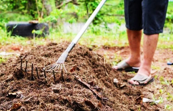 使用腐熟后的糞肥有哪些優點與隱患？