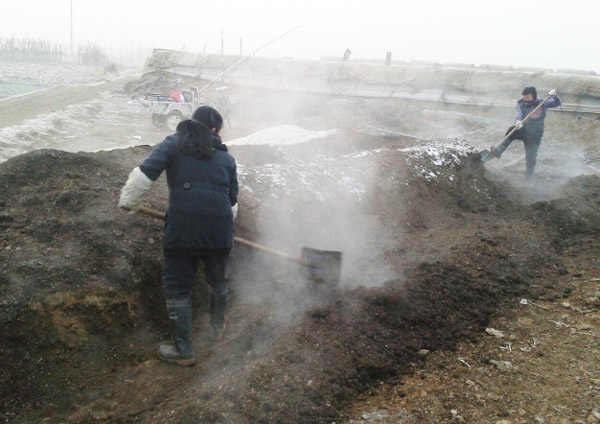 使用翻堆機堆肥發酵生產有機肥的方法