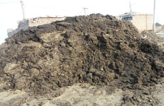 雞糞快速腐熟技術(shù)的具體過程