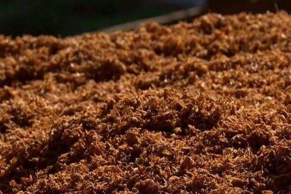 水稻秸稈發酵技術