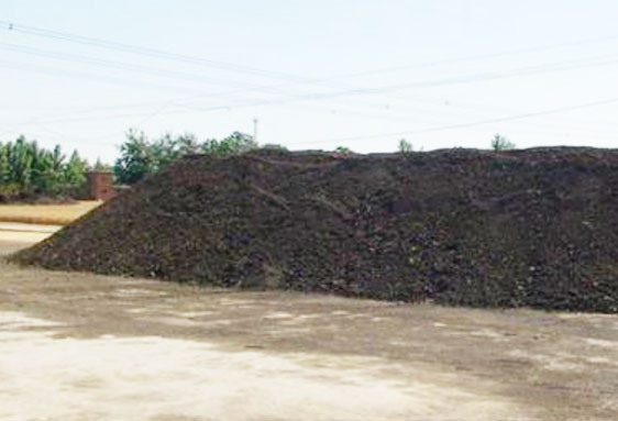 發酵豬糞的簡單方法，需要使用哪種發酵劑？