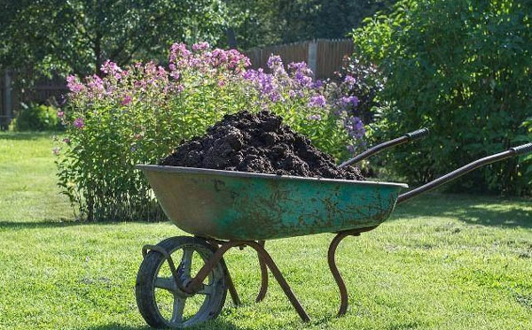 雞糞發酵的簡單方法，需要使用哪種發酵劑？