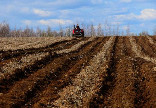 雞糞發酵有機肥的制作方法