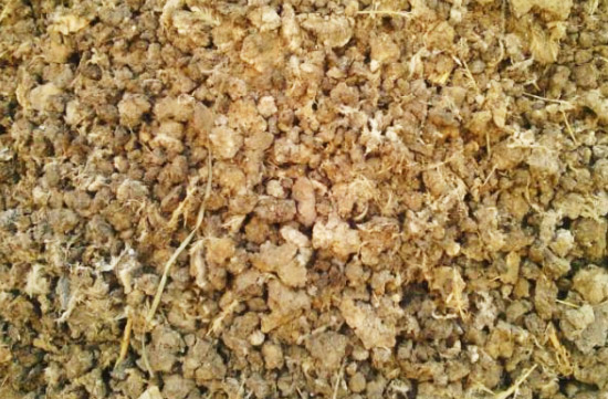 在雞糞堆肥發酵制作有機肥過程中如何提高發酵效率？