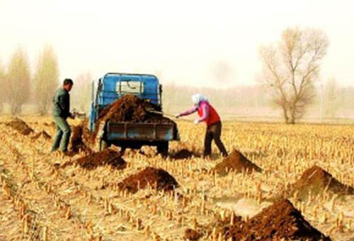 自然發(fā)酵豬糞生產(chǎn)有機(jī)肥需要多長(zhǎng)時(shí)間？