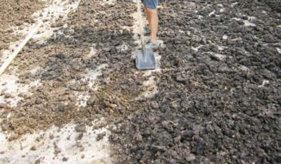 怎么使用干燥的方法制作雞糞有機肥