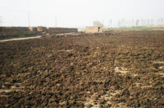 使用干燥法制作豬糞有機肥的方法與原理