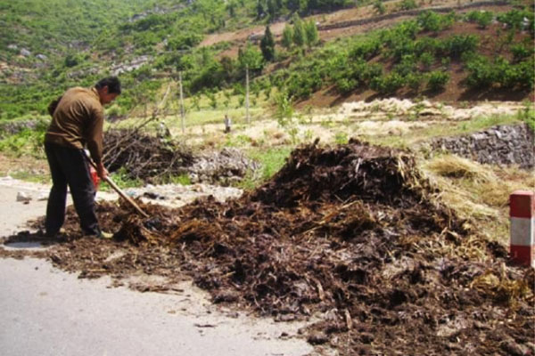 發(fā)酵豬糞制作有機(jī)肥過程與常見問題