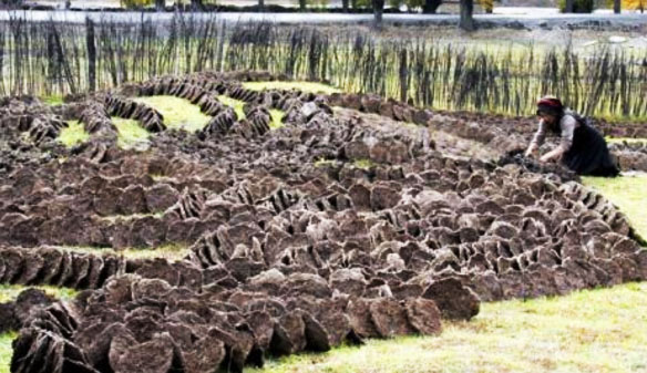 牛糞有機肥堆肥發酵制作工藝