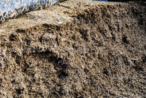 未來(lái)我國(guó)在豬糞利用方面的趨勢(shì)是什么？