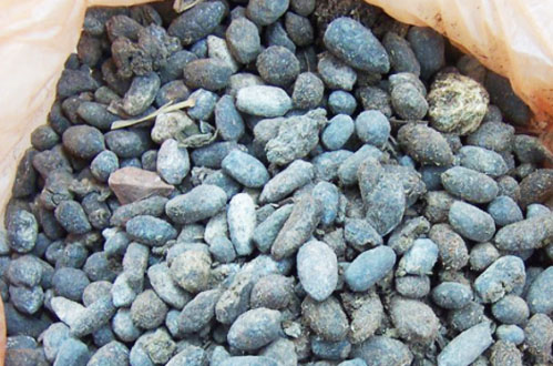 羊糞發酵制作有機肥工藝技術