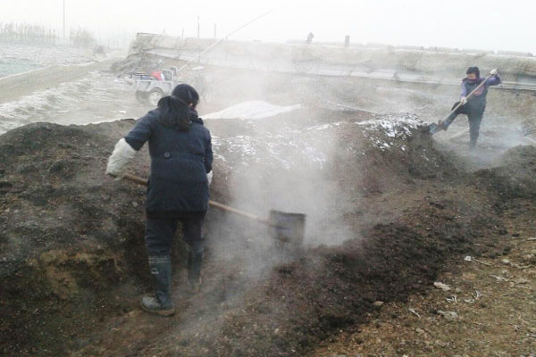 好氧堆肥發(fā)酵污泥的方法