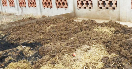 豬糞怎么發(fā)酵制作成有機肥