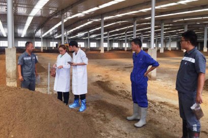 有機肥堆肥發酵需要多少天，要經歷幾個階段？