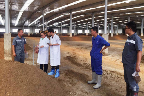 有機肥堆肥發酵需要多少天，要經歷幾個階段？