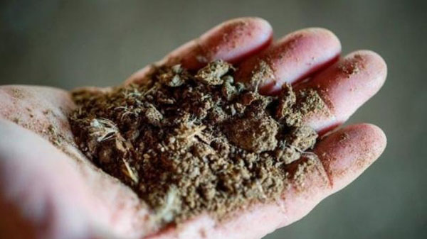 堆肥有機肥發(fā)酵腐熟度評價標(biāo)準(zhǔn)